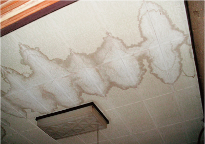 雨漏りしていて天井にしみができています。中ではカビが発生しているかも…