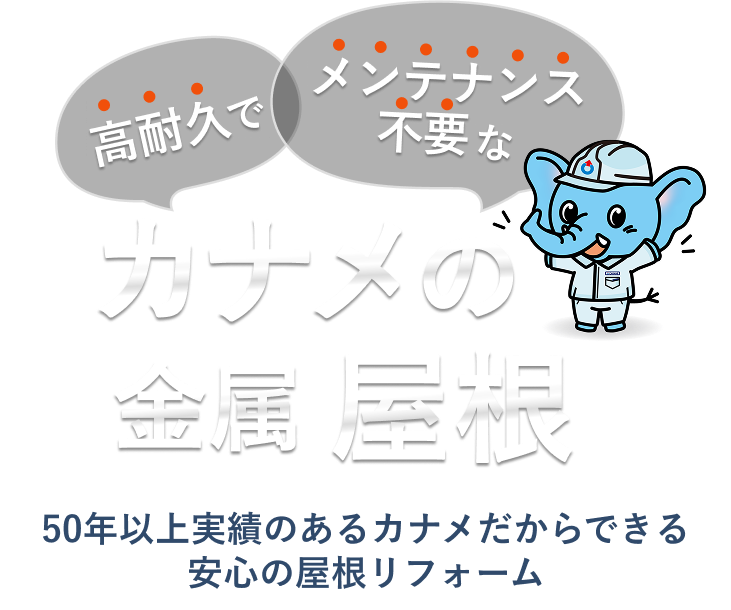 カナメの金属屋根